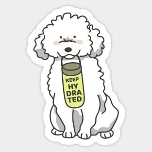 Poodle holding water bottle Sticker